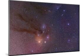 Antares and Scorpius Head Area with Rho Ophiuchi Nebulosity-null-Mounted Photographic Print