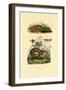 Anteater, 1833-39-null-Framed Giclee Print