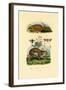 Anteater, 1833-39-null-Framed Giclee Print