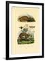 Anteater, 1833-39-null-Framed Giclee Print