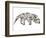 Anteater-Louise Tate-Framed Giclee Print