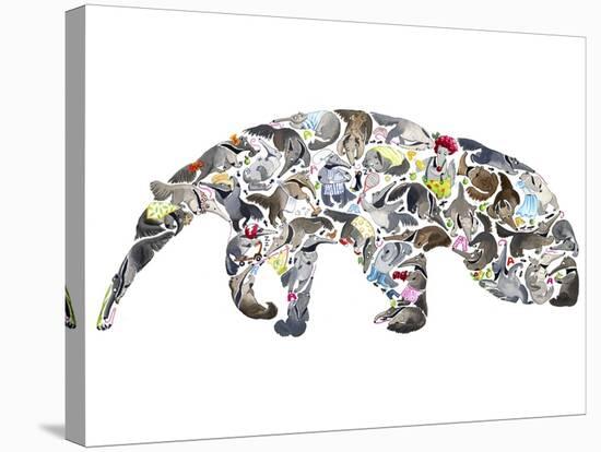 Anteater-Louise Tate-Stretched Canvas