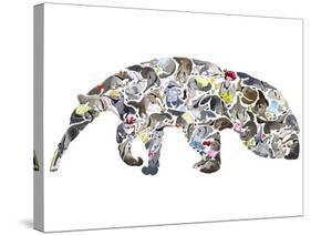 Anteater-Louise Tate-Stretched Canvas