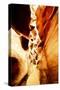 Antelope Canyon IV-Philippe Hugonnard-Stretched Canvas