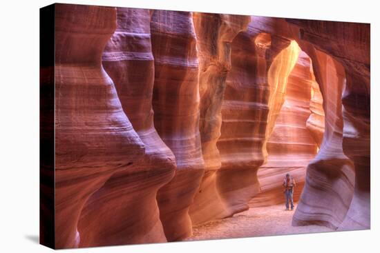 Antelope Canyon, Navajo Tribal Park, Arizona, USA-Charles Gurche-Stretched Canvas