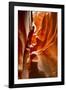 Antelope Canyon - Page - Arizona - United States-Philippe Hugonnard-Framed Photographic Print