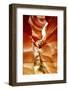 Antelope Canyon - Page - Arizona - United States-Philippe Hugonnard-Framed Photographic Print