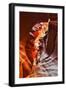 Antelope Canyon - Page - Arizona - United States-Philippe Hugonnard-Framed Photographic Print