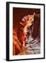 Antelope Canyon - Page - Arizona - United States-Philippe Hugonnard-Framed Photographic Print