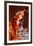 Antelope Canyon - Page - Arizona - United States-Philippe Hugonnard-Framed Photographic Print