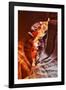 Antelope Canyon - Page - Arizona - United States-Philippe Hugonnard-Framed Photographic Print