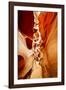 Antelope Canyon - Page - Arizona - United States-Philippe Hugonnard-Framed Photographic Print