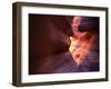 Antelope Canyon, Page, Arizona, USA-Lee Frost-Framed Photographic Print