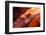 Antelope Canyon, Page, Arizona-Paul Souders-Framed Premium Photographic Print