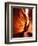 Antelope Canyon Silhouettes in Page, Arizona, USA-Bill Bachmann-Framed Photographic Print