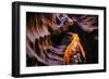 Antelope Canyon Swirl, Abstract, Southwest US, Page, Arizona, Navajo-Vincent James-Framed Photographic Print