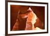 Antelope Canyon Swirling Navajo Sandstone-null-Framed Photographic Print