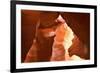 Antelope Canyon Swirling Navajo Sandstone-null-Framed Photographic Print
