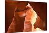 Antelope Canyon Swirling Navajo Sandstone-null-Mounted Photographic Print