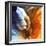 Antelope Canyon V-Philippe Hugonnard-Framed Giclee Print