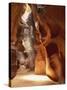 Antelope Canyon-Angelo Cavalli-Stretched Canvas