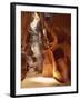 Antelope Canyon-Angelo Cavalli-Framed Photographic Print