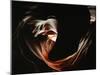 Antelope Canyon-Carli Choi-Mounted Photographic Print