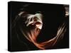 Antelope Canyon-Carli Choi-Stretched Canvas