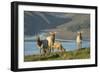 Antelope Fawns-null-Framed Photographic Print