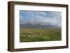 Antelope Flats, Grand Teton National Park-Alan Majchrowicz-Framed Photographic Print