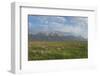 Antelope Flats, Grand Teton National Park-Alan Majchrowicz-Framed Photographic Print