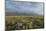 Antelope Flats lupines and sagebrush. Grand Teton National Park-Alan Majchrowicz-Mounted Photographic Print