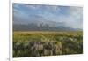 Antelope Flats lupines and sagebrush. Grand Teton National Park-Alan Majchrowicz-Framed Photographic Print