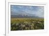 Antelope Flats lupines and sagebrush. Grand Teton National Park-Alan Majchrowicz-Framed Photographic Print