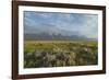 Antelope Flats lupines and sagebrush. Grand Teton National Park-Alan Majchrowicz-Framed Photographic Print