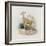 Antelope, from 'The Book of Antelopes'-Wolf & Smit-Framed Giclee Print