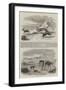 Antelope Hunting in India-null-Framed Giclee Print