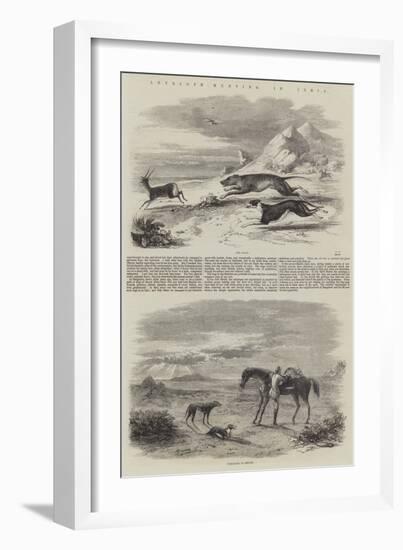 Antelope Hunting in India-null-Framed Giclee Print
