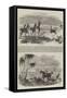 Antelope-Hunting in India-null-Framed Stretched Canvas