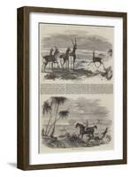 Antelope-Hunting in India-null-Framed Giclee Print