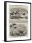 Antelope-Hunting in India-null-Framed Giclee Print