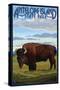 Antelope Island State Park, Utah - Bison and Field-Lantern Press-Stretched Canvas