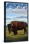 Antelope Island State Park, Utah - Bison and Field-Lantern Press-Stretched Canvas