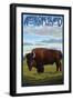 Antelope Island State Park, Utah - Bison and Field-Lantern Press-Framed Premium Giclee Print