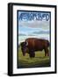 Antelope Island State Park, Utah - Bison and Field-Lantern Press-Framed Art Print