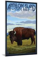 Antelope Island State Park, Utah - Bison and Field-Lantern Press-Mounted Art Print