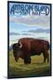 Antelope Island State Park, Utah - Bison and Field-Lantern Press-Mounted Art Print