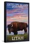 Antelope Island State Park, Utah - Bison and Sunset-Lantern Press-Framed Stretched Canvas