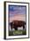 Antelope Island State Park, Utah - Bison and Sunset-Lantern Press-Framed Art Print