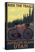 Antelope Island, Utah - Mountain Bike Scene-Lantern Press-Stretched Canvas